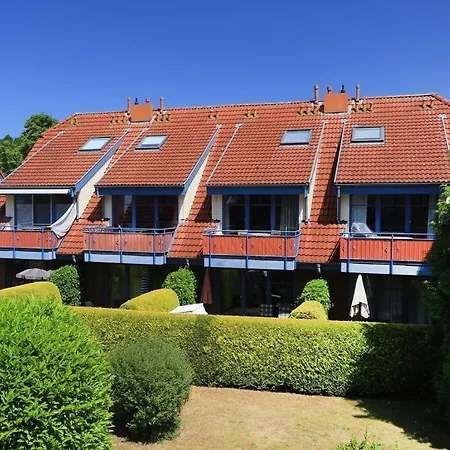 Papillon Whg 6 4 볼텐하겐