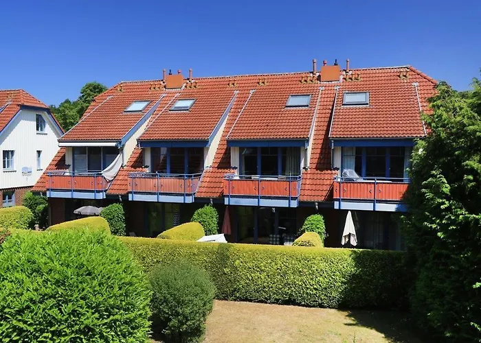 Papillon Whg 6 4 بولتينهاجين